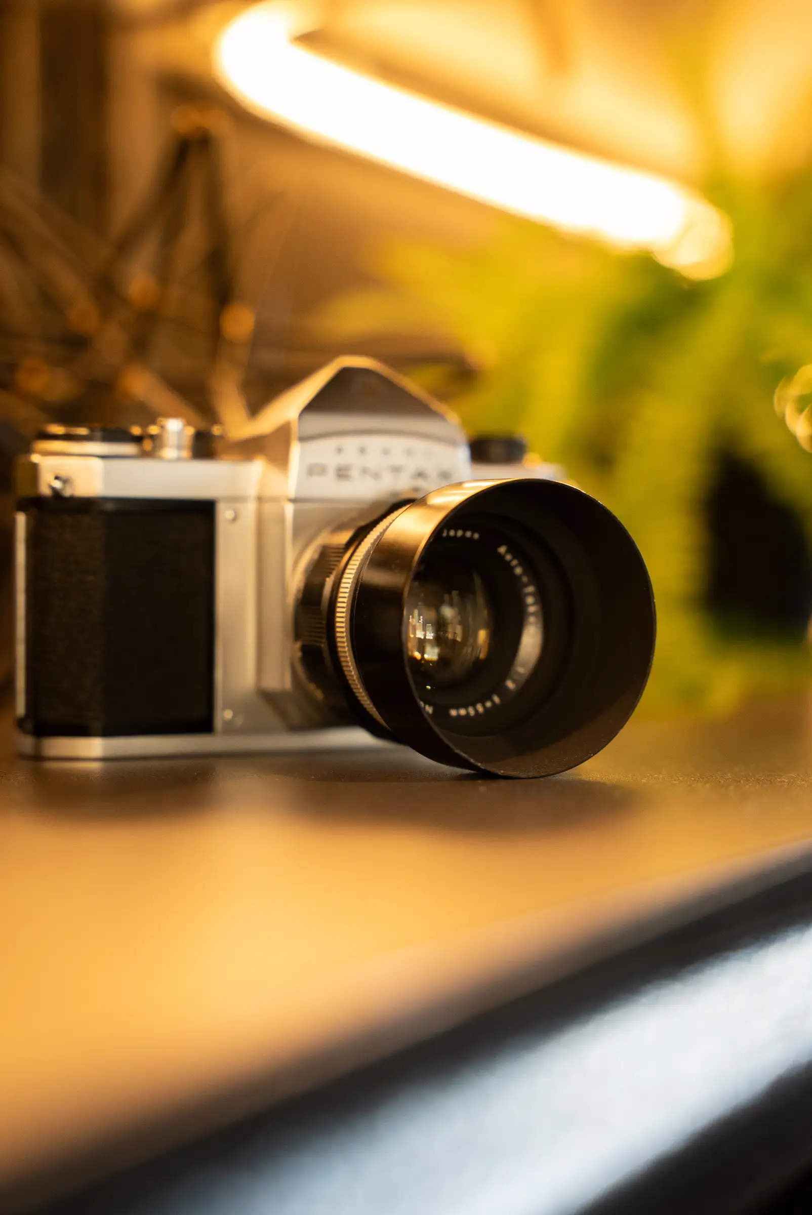 Un appareil photo Pentax argentique sur une tablette, près d’une plante