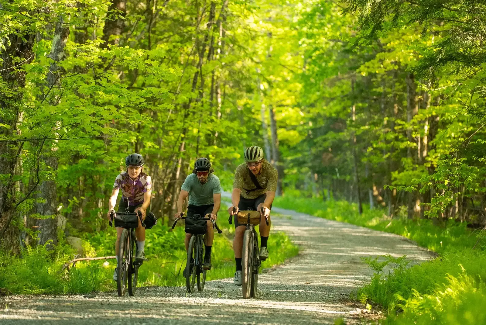 Trois cyclistes de gravel sur un chemin en forêt, dans les Cantons-de-l'Est