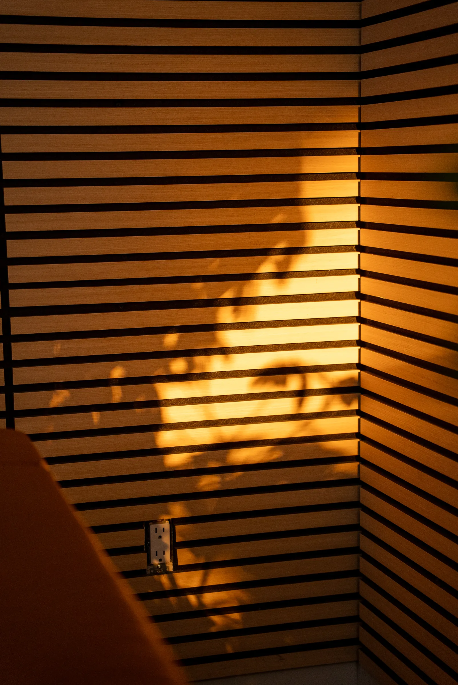 Le mur de lattes de bois du studio podcast, avec une lumière dorée projetée