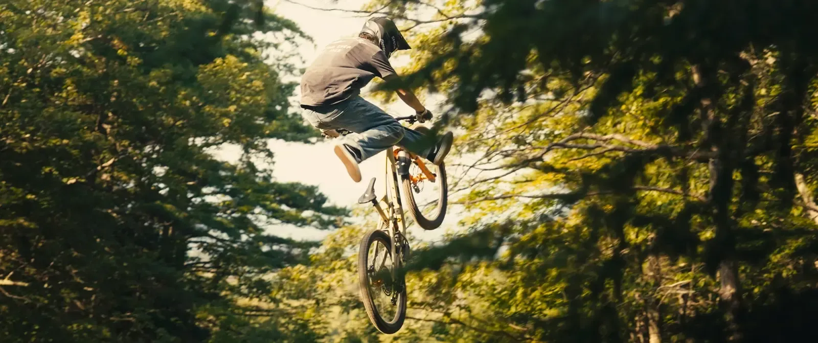Saut en vélo de montagne entre les pins, dans le film FlowState
